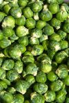 Brussel Sprouts - fresh with garlic